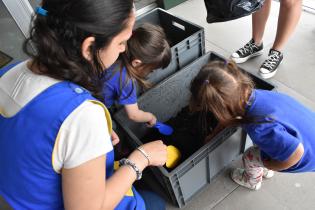 Programa educativo en Escuelas