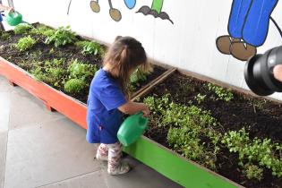 Programa educativo en Escuelas