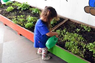 Programa educativo en Escuelas