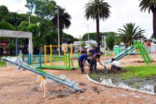  Plaza Irineo Leguizamo