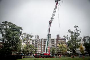 Instalación de las estatuas Confucio y Lao Tse en parque Batlle