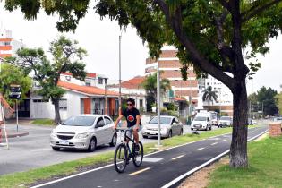 Bicisenda Av. Italia Bicisenda Av. Italia