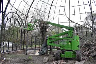 Obras en Parque de la Amistad