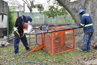 Obras en Parque de la Amistad