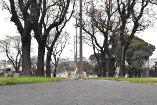 Bicisenda en Dámaso Antonio Larrañaga