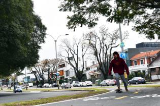 Bicisenda en avenida Américo Ricaldoni entre Vidiella y Morquio.