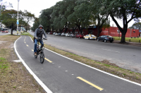 Bicisenda en avenida Américo Ricaldoni entre Vidiella y Morquio.