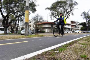 Bicisenda en avenida Américo Ricaldoni entre Vidiella y Morquio.