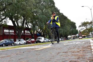 Bicisenda en avenida Américo Ricaldoni entre Vidiella y Morquio.