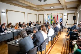 Reunión de la coordinación anual de Mercociudades