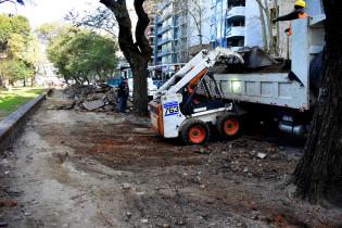  Reparación parcial de caminería en Parque Rodó