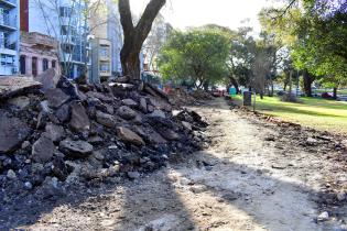  Reparación parcial de caminería en Parque Rodó