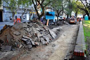  Reparación parcial de caminería en Parque Rodó