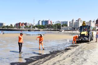 Limpieza de playas