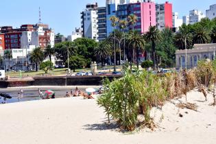 Conservación de Dunas