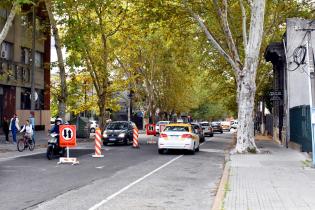 Avance de obras en Av. Dr Manuel Albo 