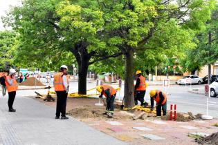 Avance de obras en Av. Dr Manuel Albo Avance de obras en Av. Dr Manuel Albo