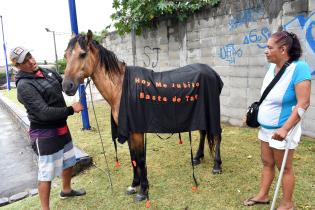 Sustitución de caballos por motocarros