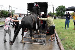 Sustitución de caballos por motocarros