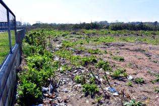 Erradicación de basural en José Batlle y Ordóñez y Privada 