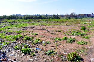 Erradicación de basural en José Batlle y Ordóñez y Privada 