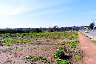 Erradicación de basural en José Batlle y Ordóñez y Privada 