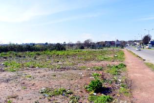 Erradicación de basural en José Batlle y Ordóñez y Privada 