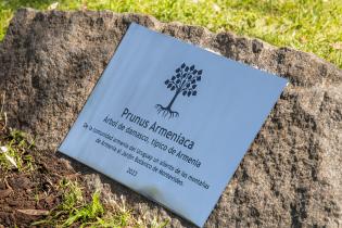 Reposición de placa de la comunidad Armenia en el Jardín Botánico