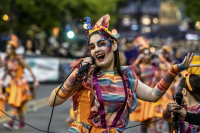 Desfile de Carnaval de las Promesas 2023 - 2024