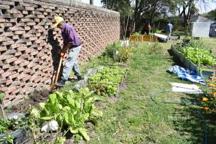 Huertas urbanas en espacios públicos