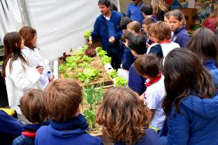 Día Mundial de la Alimentación