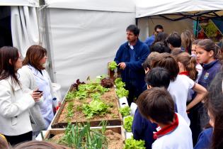 Día Mundial de la Alimentación