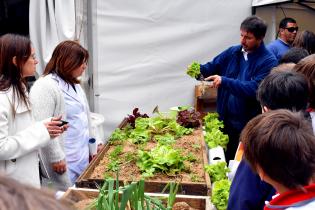 Día Mundial de la Alimentación