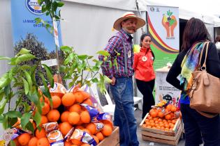 Día Mundial de la Alimentación