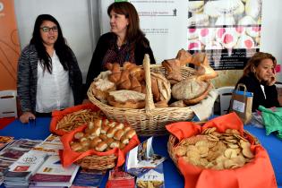 Día Mundial de la Alimentación