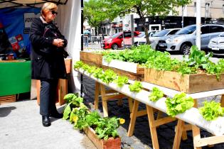 Día Mundial de la Alimentación