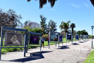 Exposición Festivales por la Convivencia