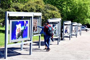 Exposición Festivales por la Convivencia