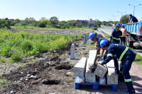 Erradicación de basural en José Batlle y Ordóñez y Privada