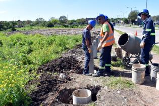 Erradicación de basural en José Batlle y Ordóñez y Privada