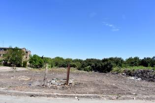 Erradicación de basural en Ameghino