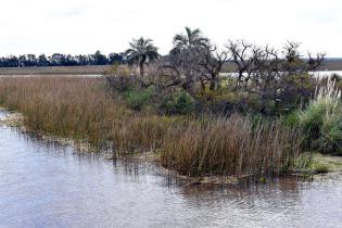 Visita Humedales de Santa Lucia