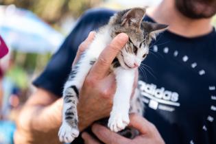 Jornada de adopción de animales de compañia organizada por la Asociación Animalista LIBERA Jornada de adopción de animales de compañia organizada por la Asociación Animalista LIBERA