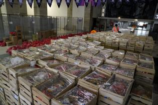 Entrega de canastas alimentarias en el atrio de la IM Entrega de canastas alimentarias en el atrio de la IM