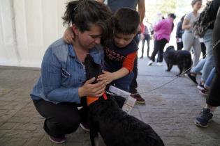 Jornada de adopción responsable de animales.