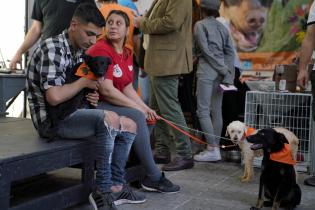 Jornada de adopción responsable de animales.