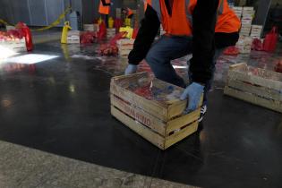 Entrega de canastas alimentarias en el atrio de la IM Entrega de canastas alimentarias en el atrio de la IM