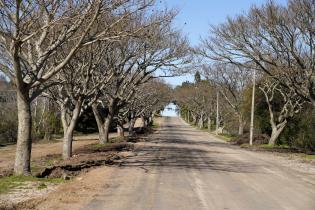 Parque Lecocq obras en caminería interna y acceso