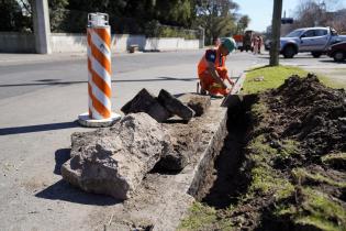 Reparación de la Avenida Joaquín Suárez