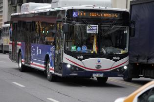 Nuevas líneas de ómnibus eléctricos